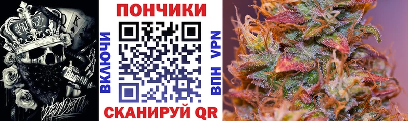 Виды наркотиков купить Козьмодемьянск Псилоцибиновые грибы  МАРИХУАНА  COCAIN  Меф  ГАШИШ 