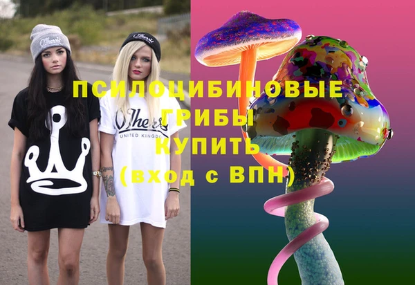 соль ск Аркадак