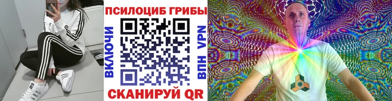 Галлюциногенные грибы Cubensis  Козьмодемьянск 